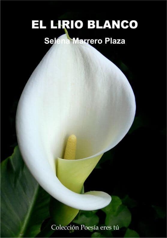 Cubierta de El lirio blanco
