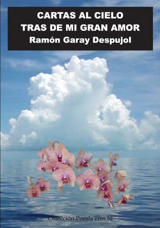 Cubierta de Cartas al cielo tras de mi gran amor