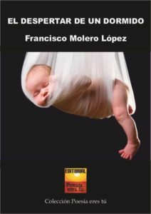 Cubierta de El despertar de un dormido