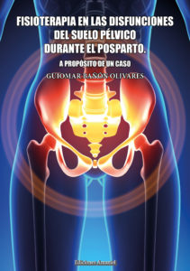 Cubierta de Fisioterapia en las disfunciones del suelo pélvico durante el posparto. A propósito de un caso