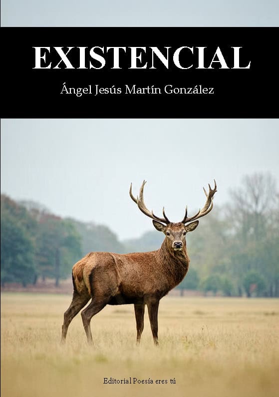 Cubierta de Existencial