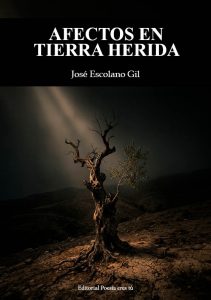 Cubierta de AFECTOS EN TIERRA HERIDA